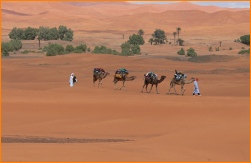 Maroc Luxury Desert Camp Merzouga, Morocco