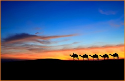 Maroc Luxury Desert Camp Merzouga, Morocco